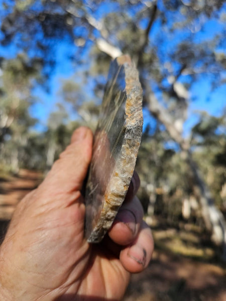 Polished Wyloo Agate WA127