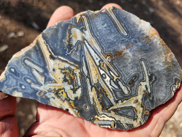 Polished Wyloo Agate WA127