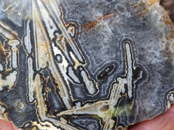 Polished Wyloo Agate WA127