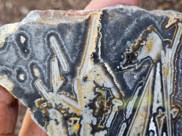 Polished Wyloo Agate WA127