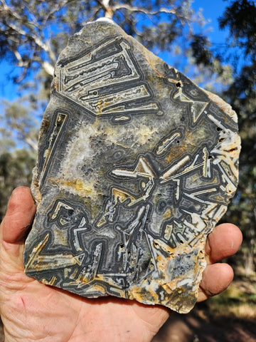 Polished Wyloo Agate WA119