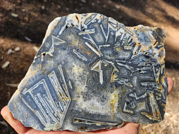 Polished Wyloo Agate WA119