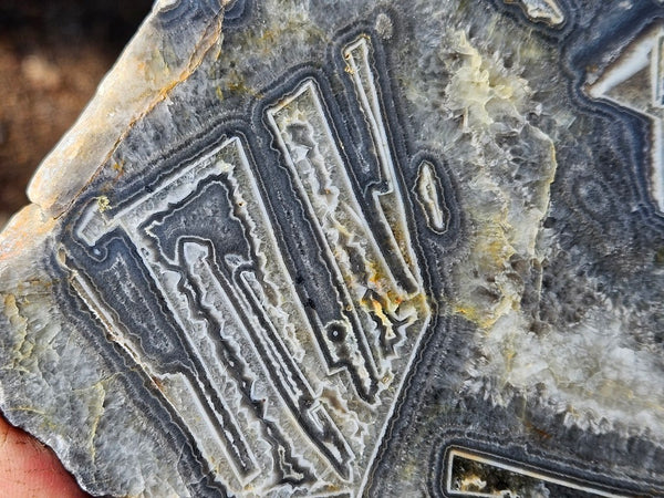 Polished Wyloo Agate WA119