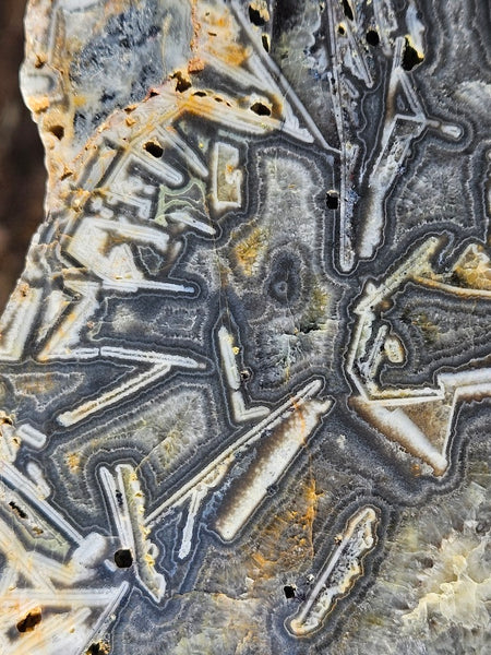 Polished Wyloo Agate WA119