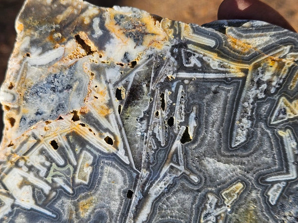 Polished Wyloo Agate WA119