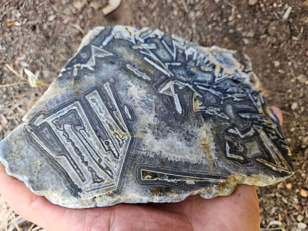 Polished Wyloo Agate WA119