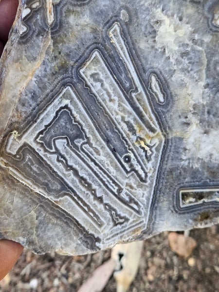 Polished Wyloo Agate WA119