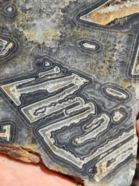 Polished Wyloo Agate WA118