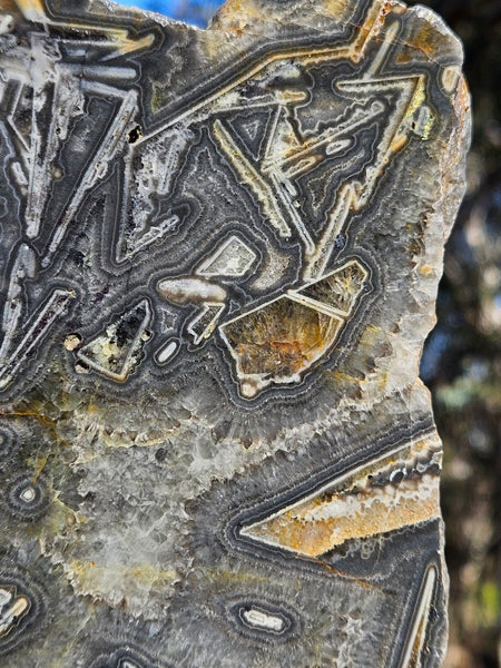 Polished Wyloo Agate WA118