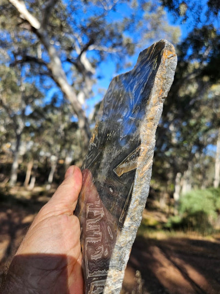 Polished Wyloo Agate WA118