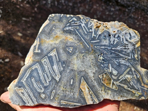 Polished Wyloo Agate WA118