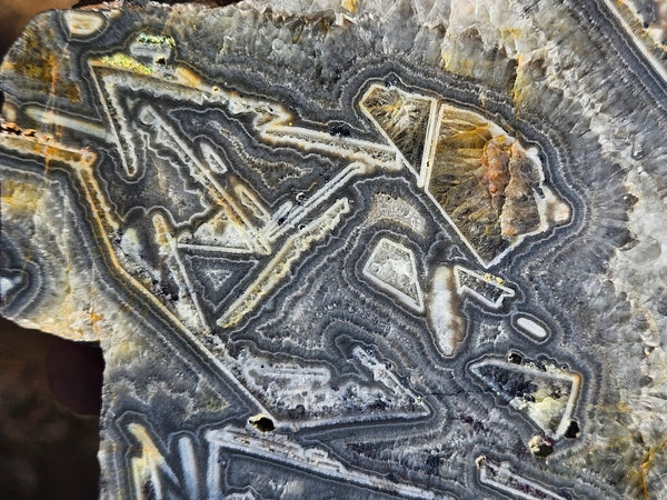 Polished Wyloo Agate WA118