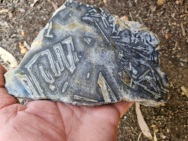 Polished Wyloo Agate WA118