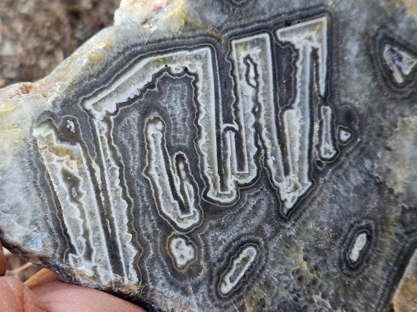 Polished Wyloo Agate WA118