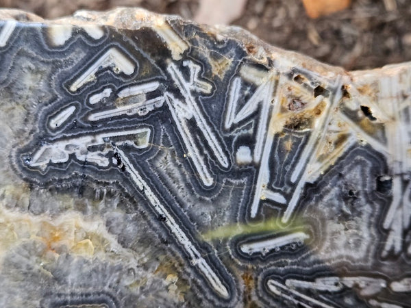 Polished Wyloo Agate WA118