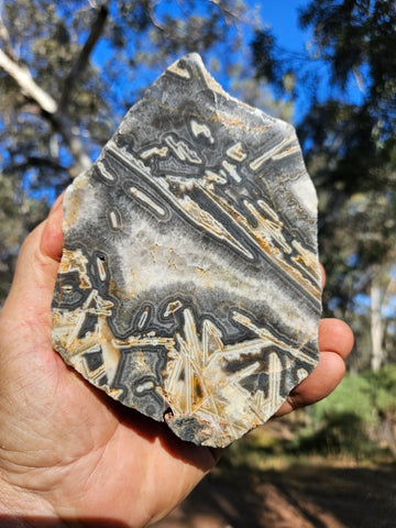 Polished Wyloo Agate WA117