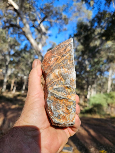 Polished Wyloo Agate WA117