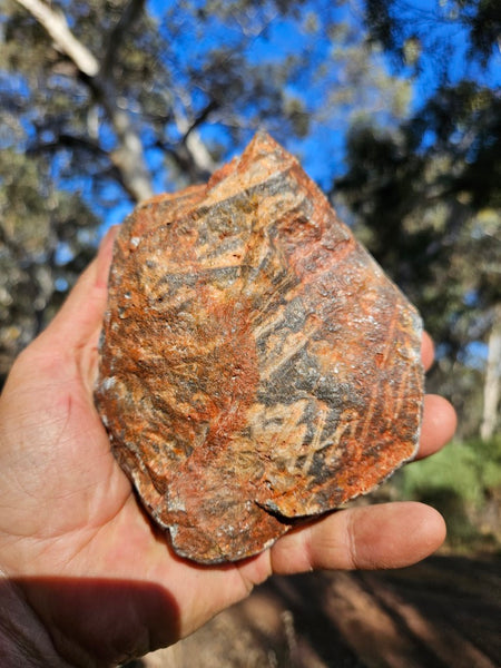 Polished Wyloo Agate WA117