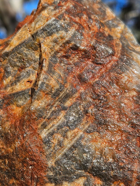 Polished Wyloo Agate WA117