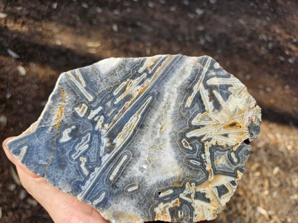 Polished Wyloo Agate WA117