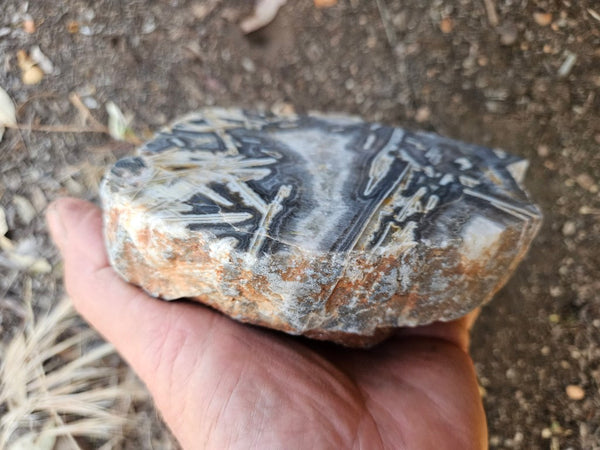 Polished Wyloo Agate WA117