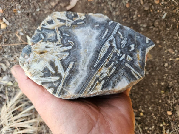 Polished Wyloo Agate WA117