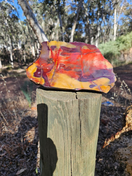 Polished  Mookaite  MK580