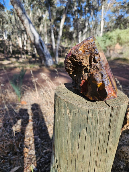 Polished  Mookaite  MK580