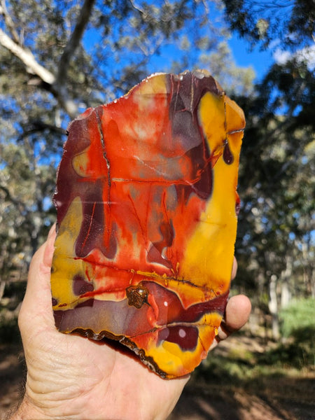 Polished  Mookaite  MK580
