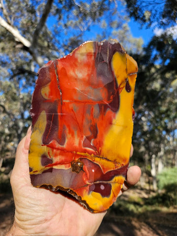 Polished  Mookaite  MK580