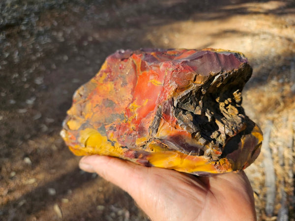 Polished  Mookaite  MK580