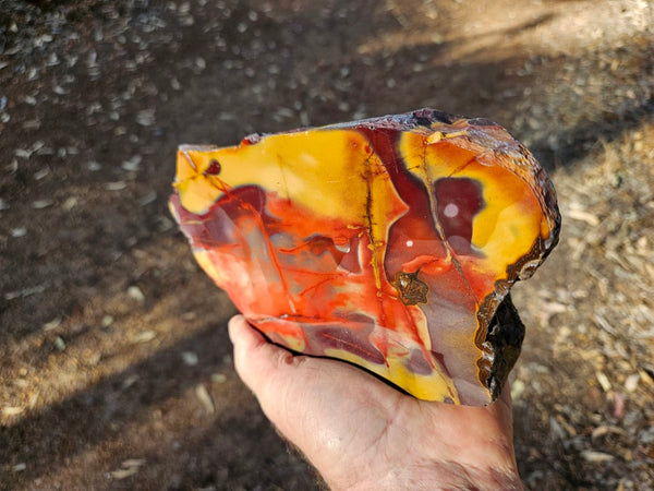 Polished  Mookaite  MK580