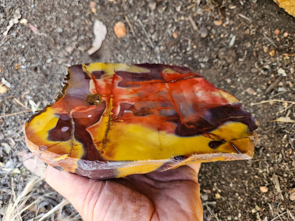 Polished  Mookaite  MK580