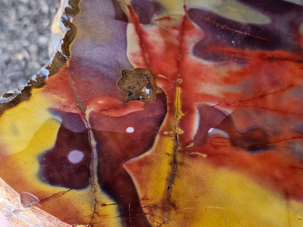 Polished  Mookaite  MK580