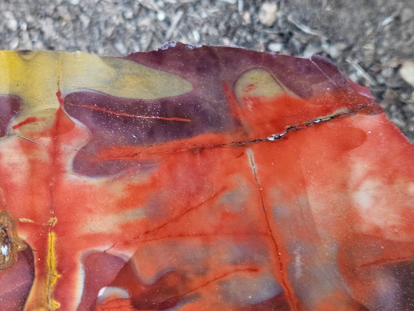 Polished  Mookaite  MK580