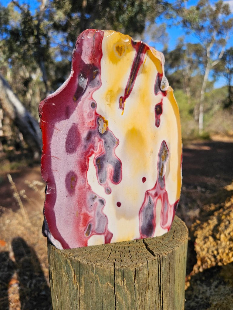 Polished  Mookaite  MK579