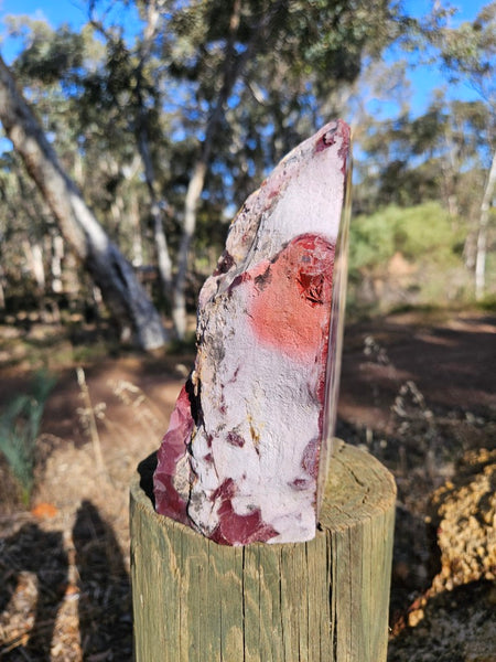 Polished  Mookaite  MK579