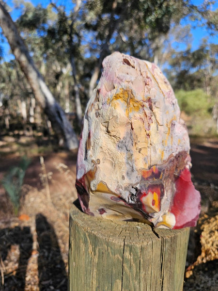 Polished  Mookaite  MK579