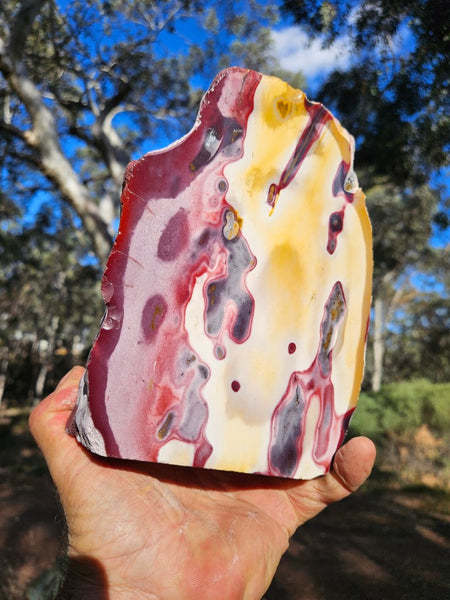 Polished  Mookaite  MK579