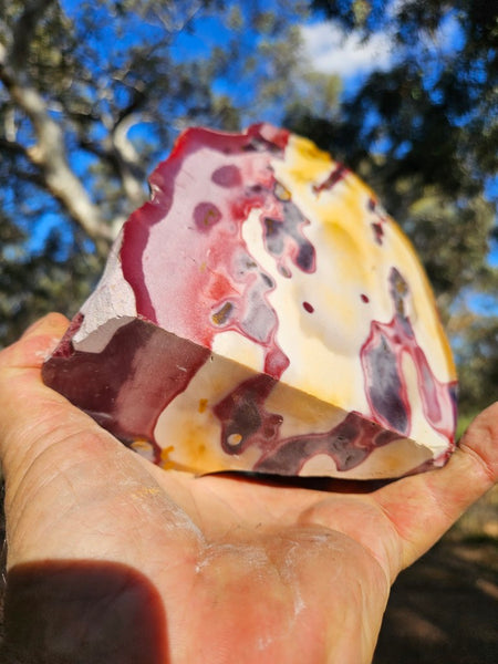 Polished  Mookaite  MK579