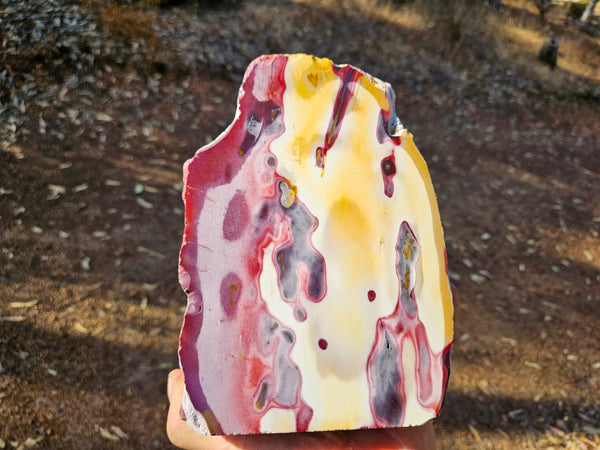 Polished  Mookaite  MK579