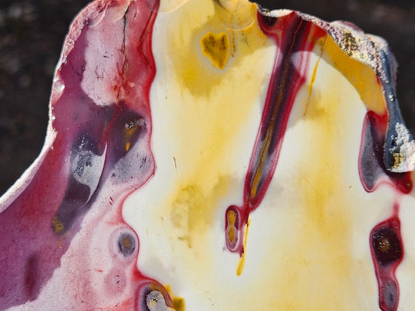 Polished  Mookaite  MK579