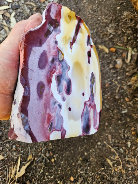Polished  Mookaite  MK579