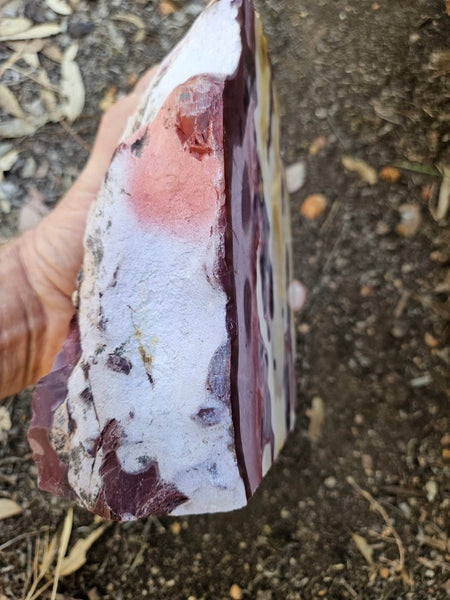 Polished  Mookaite  MK579