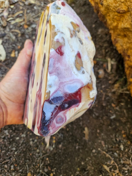 Polished  Mookaite  MK579