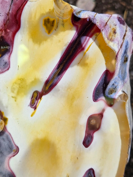 Polished  Mookaite  MK579