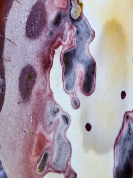 Polished  Mookaite  MK579