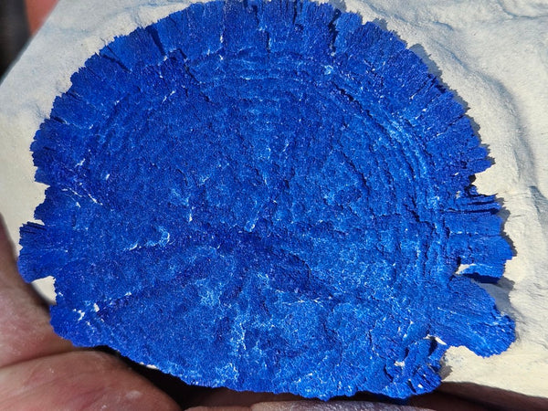 Azurite Sun  AZ177