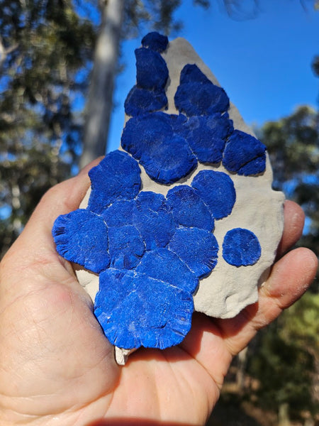 Azurite Sun  AZ179