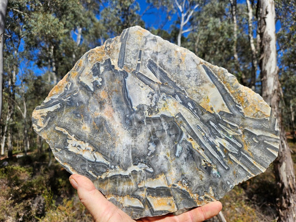 Polished Wyloo Agate slab WA161  John